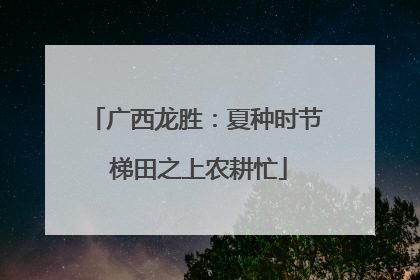 广西龙胜：夏种时节 梯田之上农耕忙