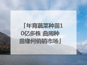 年育蔬菜种苗10亿多株 曲周种苗缘何俏销市场