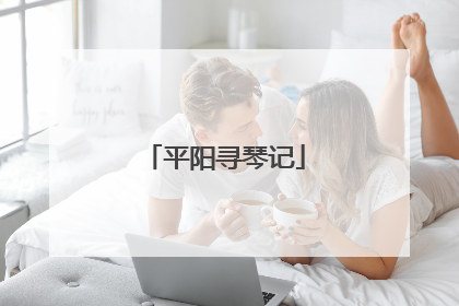 平阳寻琴记