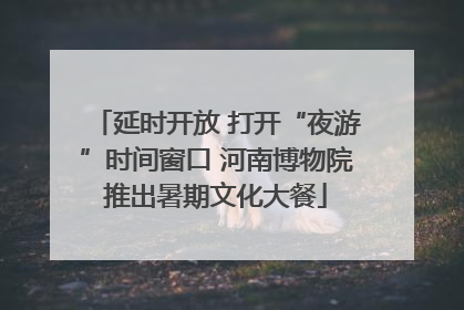 延时开放 打开“夜游”时间窗口 河南博物院推出暑期文化大餐