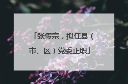 张传宗，拟任县（市、区）党委正职