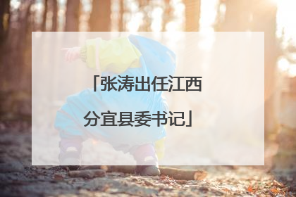 张涛出任江西分宜县委书记