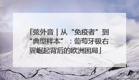弦外音｜从“免疫者”到“典型样本”：葡萄牙极右翼崛起背后的欧洲困局