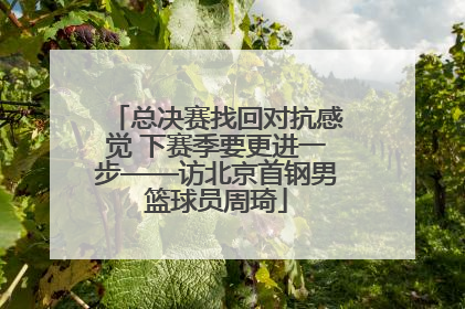总决赛找回对抗感觉 下赛季要更进一步——访北京首钢男篮球员周琦