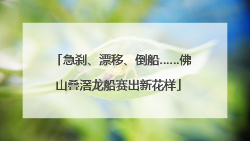 急刹、漂移、倒船……佛山叠滘龙船赛出新花样