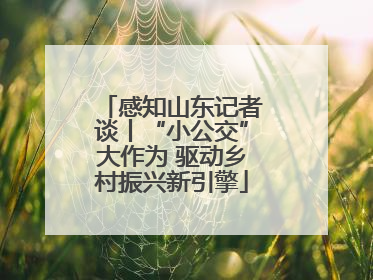 感知山东记者谈丨“小公交”大作为 驱动乡村振兴新引擎