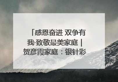 感恩奋进 双争有我·致敬最美家庭｜贺彦霞家庭：银针彩线绣出好日子