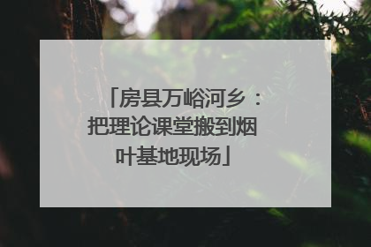 房县万峪河乡：把理论课堂搬到烟叶基地现场