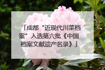 成都“近现代川菜档案”入选第六批《中国档案文献遗产名录》