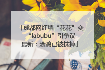 成都网红墙“花花”变“labubu”引争议 最新：涂鸦已被抹掉