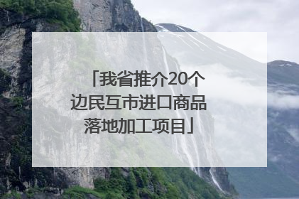 我省推介20个边民互市进口商品落地加工项目