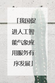 我国促进人工智能气象应用服务有序发展