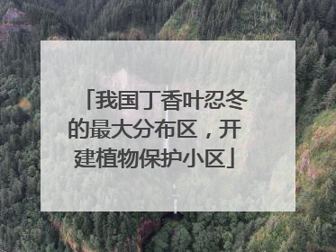 我国丁香叶忍冬的最大分布区，开建植物保护小区