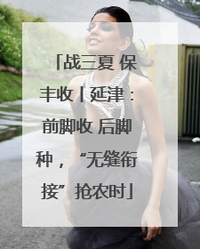 战三夏 保丰收丨延津：前脚收 后脚种，“无缝衔接”抢农时