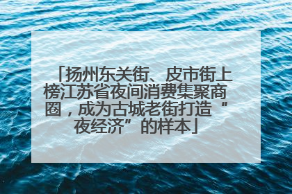 扬州东关街、皮市街上榜江苏省夜间消费集聚商圈，成为古城老街打造“夜经济”的样本
