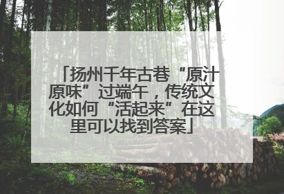 扬州千年古巷“原汁原味”过端午，传统文化如何“活起来”在这里可以找到答案