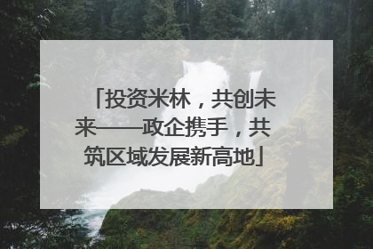 投资米林，共创未来——政企携手，共筑区域发展新高地