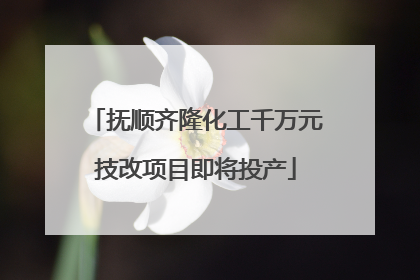 抚顺齐隆化工千万元技改项目即将投产