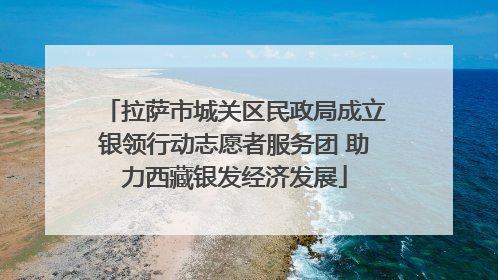 拉萨市城关区民政局成立银领行动志愿者服务团 助力西藏银发经济发展