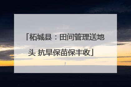 柘城县：田间管理送地头 抗旱保苗保丰收