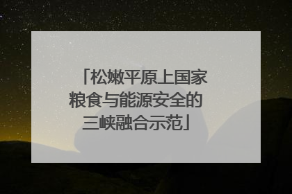 松嫩平原上国家粮食与能源安全的三峡融合示范