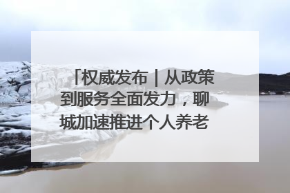 权威发布｜从政策到服务全面发力，聊城加速推进个人养老金制度落地