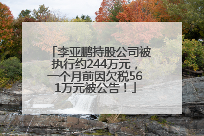 李亚鹏持股公司被执行约244万元，一个月前因欠税561万元被公告！