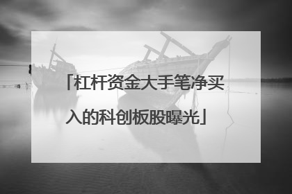 杠杆资金大手笔净买入的科创板股曝光