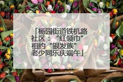 杨园街道铁机路社区：“红领巾”相约“银发族” 老少同乐庆端午