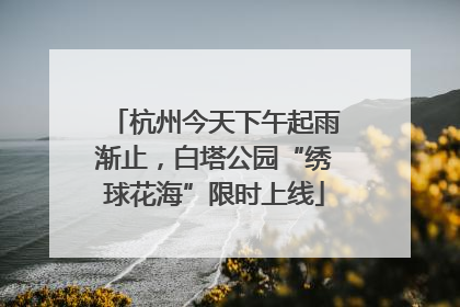 杭州今天下午起雨渐止，白塔公园“绣球花海”限时上线