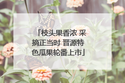 枝头果香浓 采摘正当时 晋源特色瓜果轮番上市