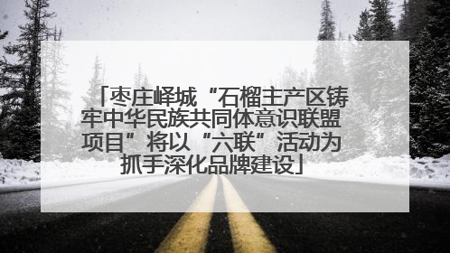 枣庄峄城“石榴主产区铸牢中华民族共同体意识联盟项目”将以“六联”活动为抓手深化品牌建设