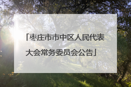枣庄市市中区人民代表大会常务委员会公告