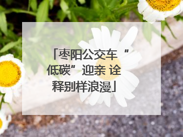 枣阳公交车“低碳”迎亲 诠释别样浪漫