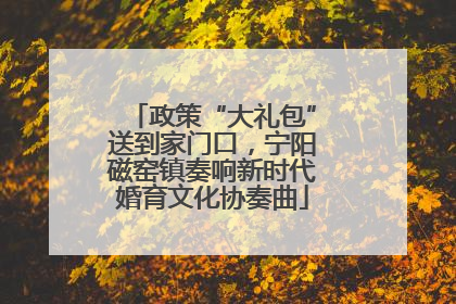 政策“大礼包”送到家门口，宁阳磁窑镇奏响新时代婚育文化协奏曲