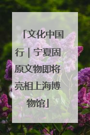 文化中国行｜宁夏固原文物即将亮相上海博物馆