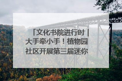 文化书院进行时｜大手牵小手！植物园社区开展第三届迷你马拉松活动