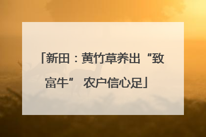 新田：黄竹草养出“致富牛” 农户信心足