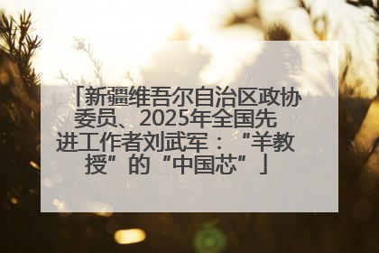 新疆维吾尔自治区政协委员、2025年全国先进工作者刘武军：“羊教授”的“中国芯”