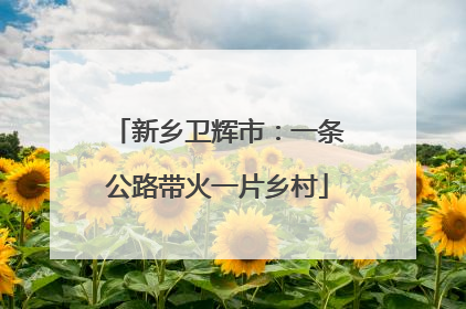 新乡卫辉市：一条公路带火一片乡村