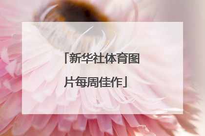 新华社体育图片每周佳作