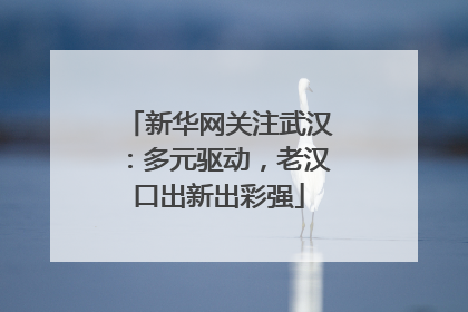 新华网关注武汉：多元驱动，老汉口出新出彩强