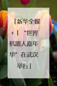 新华全媒+丨“世界机器人嘉年华”在武汉举行