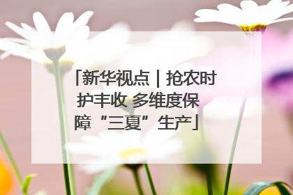 新华视点｜抢农时 护丰收 多维度保障“三夏”生产