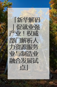 新华解码｜促就业强产业！权威部门解析人力资源服务业与制造业融合发展试点