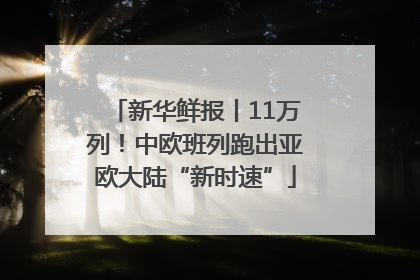 新华鲜报丨11万列！中欧班列跑出亚欧大陆“新时速”