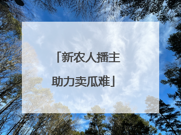 新农人播主 助力卖瓜难