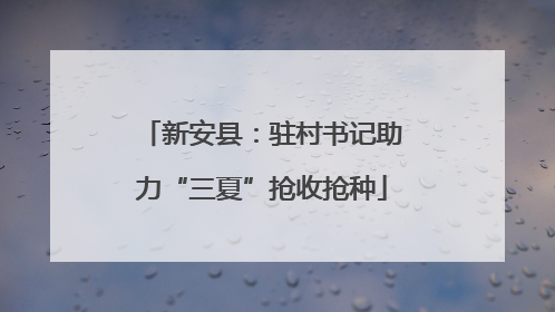 新安县：驻村书记助力“三夏”抢收抢种