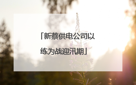 新蔡供电公司以练为战迎汛期