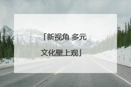 新视角 多元文化壁上观